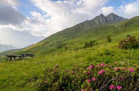 Zur Taistner Alm